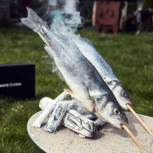 Stockfisch garen über WHITE COAL Binchotan Holzkohle