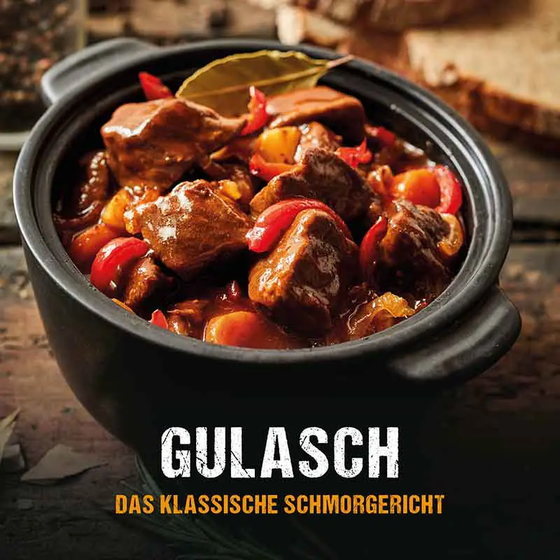 mcbrikett_blog_titelbild__dutchoven_rezepte_gulasch