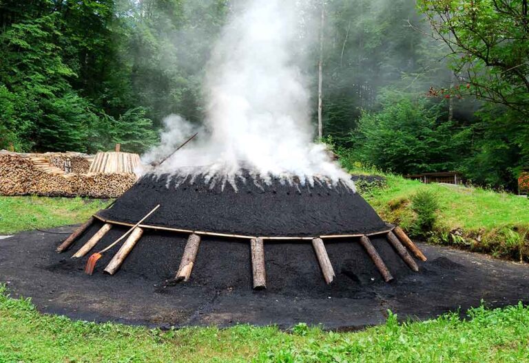 McBrikett Grillkohle Holzkohle Holz