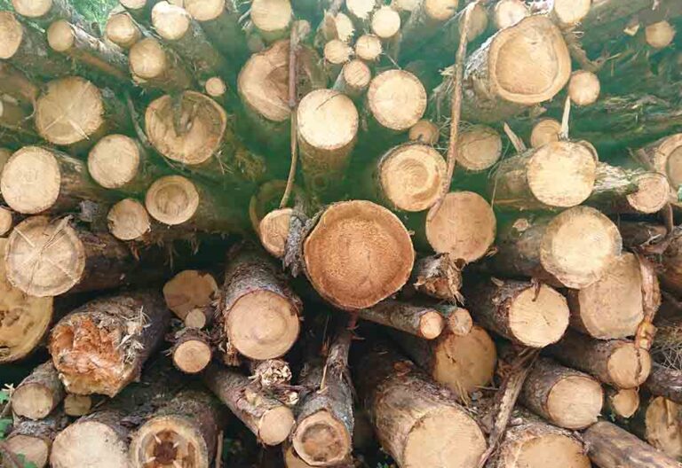 McBrikett Grillkohle Holzkohle holz