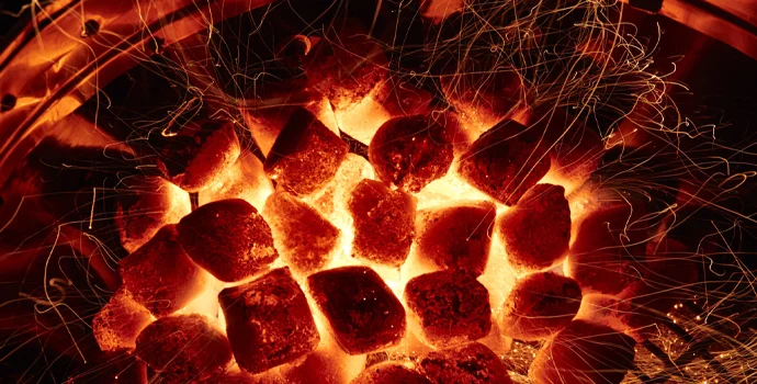 mcbrikett_kokoko_eggs_kokoskohle_grillkohle