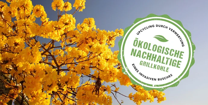 McBrikett_Marabu_holzkohle_ökologische_nachhaltige_grillkohle_upcycling