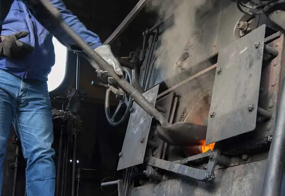 Gute_Holzkohle_white_coal_holzkohle_grillen_grillkohle